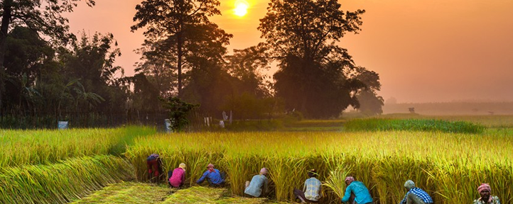Funding opportunities with DFID in East Africa