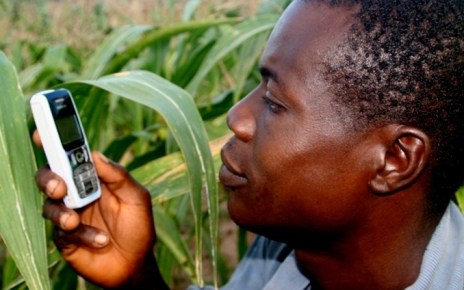 A new report from Wefarm one of the world largest farmer to farmer digital network indicates that 1.1 Million farmers both in Uganda and Kenya are embracing