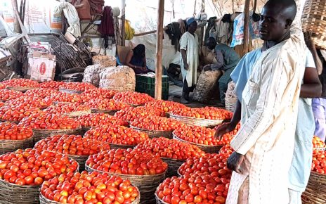 Estimates by the Economic Commission for Africa indicate that African Continental Free Trade Area has the potential to boost intra-African trade by eliminating import duties, and double trade – if non-tariff barriers are also reduced.