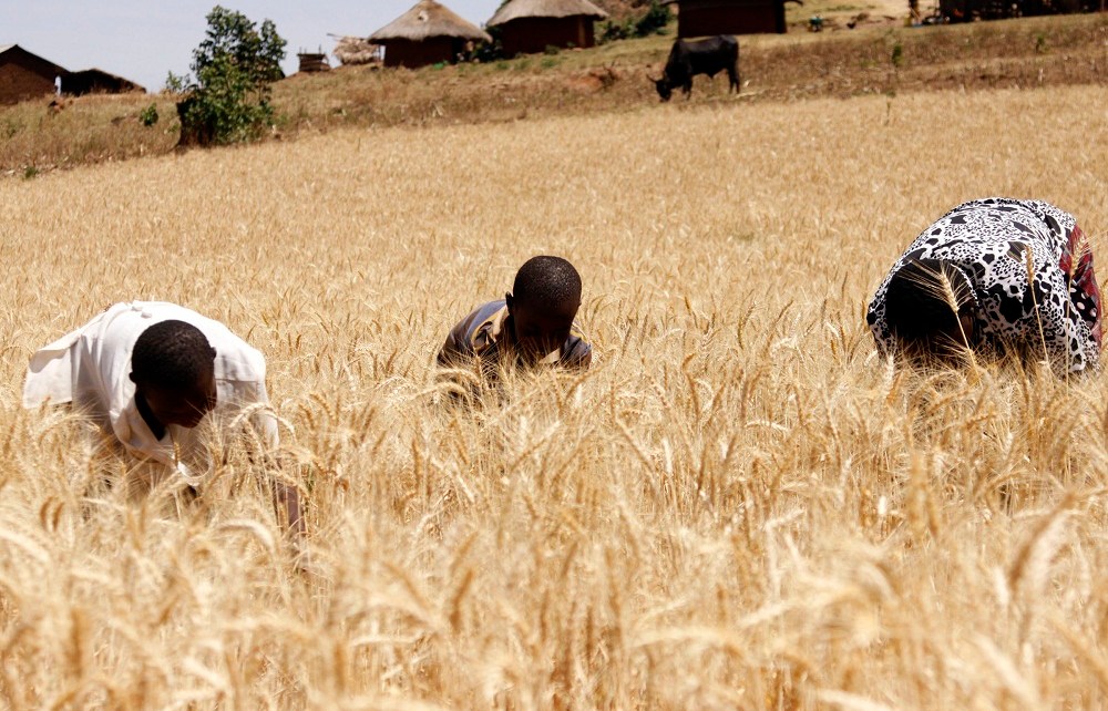 Uganda’s economy has rebounded strongly to 6.1% in FY17/18, up from 3.9% the previous year, and the country’s positive growth is expected to continue, according to the latest edition of the Uganda Economic Update released by the World Bank.