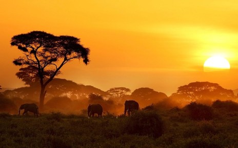 Serena Hotels and Mettle Solar OFGEN have opened Kenya’s first Fully Solar Powered Lodge.