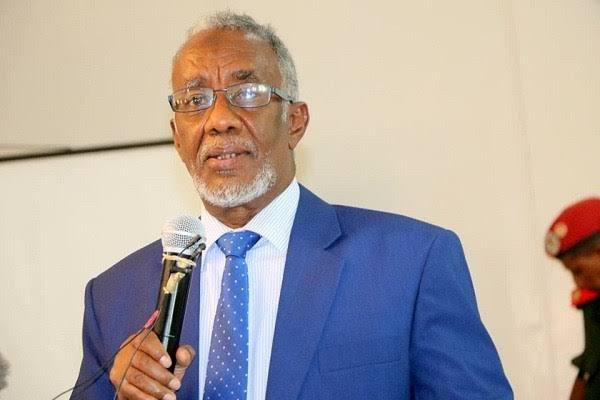 Somaliland Foreign affairs and international cooperation minister Yasin Mohammed Hiir has said his country is interested in opening its doors on foreign investors