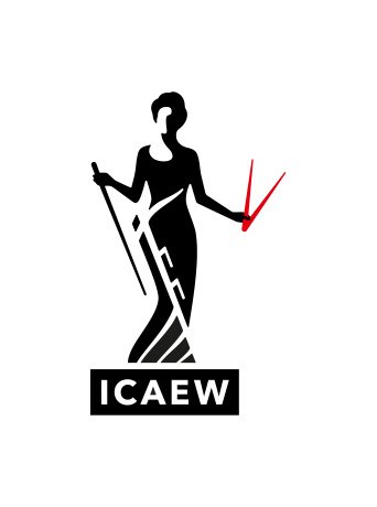 The Institute of Chartered Accountants in England and Wales (ICAEW) has warned that smaller businesses could be excluded from the world government’s plans to make business transactions digital.