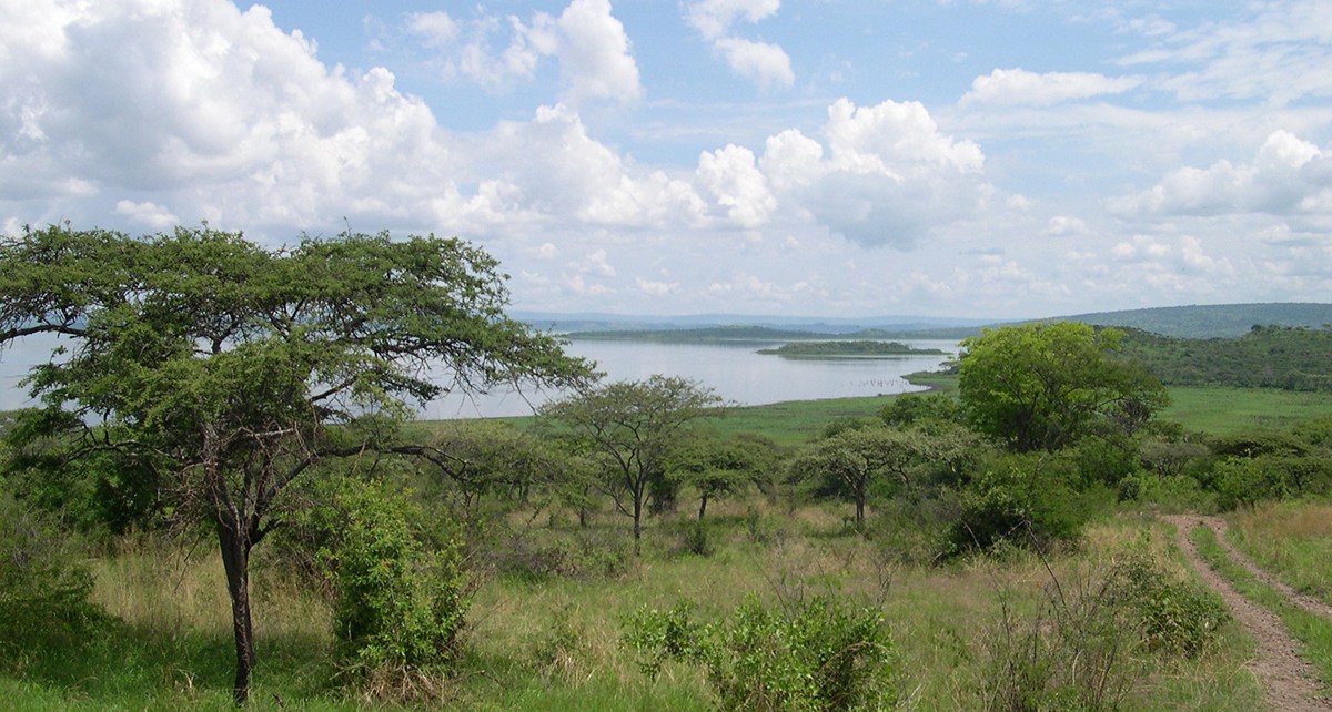The lawmakers unanimously approved the upgrading of Biharamuro, Burigi, Kimisi, Ibanda and Rumanyika game reserves to national parks