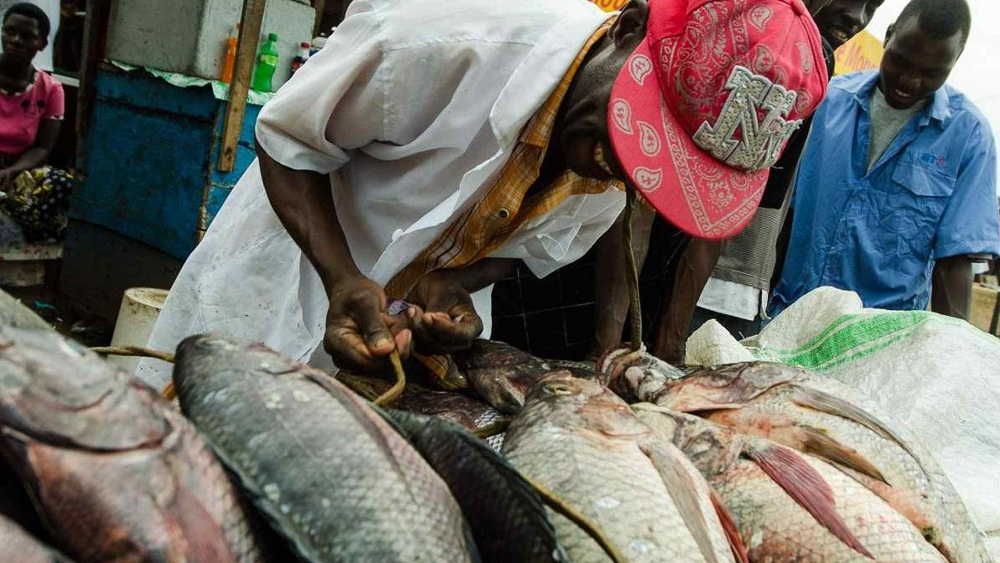 Fish exporters have asked Uganda’s Parliament not to try and reverse a decision of having continued presence of Uganda Peoples’ Defense Forces (UPDF) on lakes in their bid to stop illegal fishing.