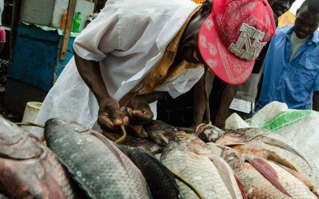 Fish exporters have asked Uganda’s Parliament not to try and reverse a decision of having continued presence of Uganda Peoples’ Defense Forces (UPDF) on lakes in their bid to stop illegal fishing.
