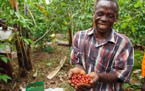 Coffee was also maintained among the 12 priority commodities in the Agriculture Sector Strategic Plan and the National Development Plan