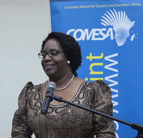 COMESA and the United National Conference on Trade and Development (UNCTAD) have launched a Co-delegation Agreement to implement trade facilitation projects in the region.