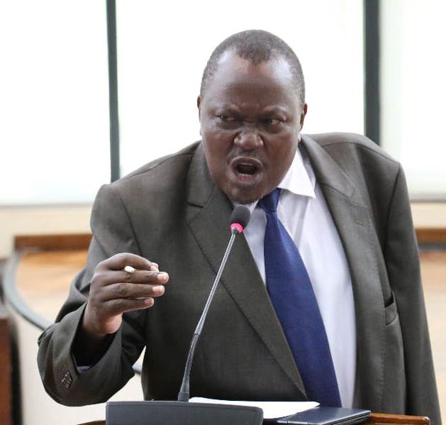 Agriculture, Tourism and Natural Resources Committee Chairperson Mathias stressing point during the Assembly meeting recently