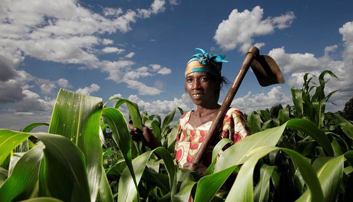 Smallholder farmers have asked the Government to involve them in the budget formulation process as they believe that it’s the only way their views and voices will be heard.