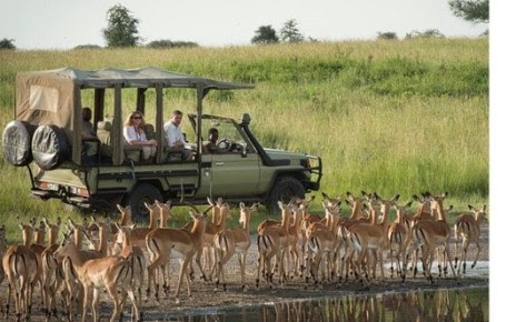 Tanzania’s President John Pombe Magufuli has directed wildlife conservation authorities in his country to split Selous Game Reserve and have its upper part turned into a national park.