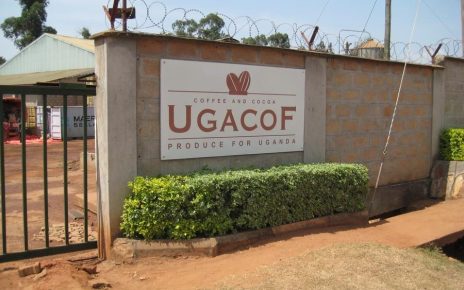 We see increased PE activity in the region, across a diverse range of sectors, including agro-processing,
