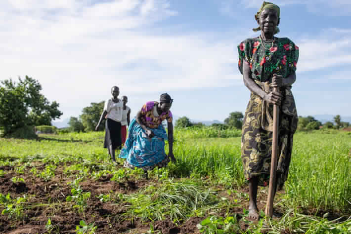 In South Sudan, the number of severely food insecure people was estimated at almost 7 million, 60 percent of the population, as of May-July 2019. Women weeding a field in Torit, South Sudan