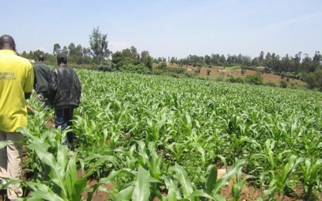 President Yoweri Museveni has encouraged Danish agricultural investors to consider setting up agricultural processing and production industries in Uganda as opposed to the costly process of importing agriculture machines.
