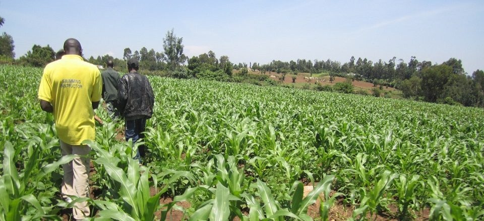 President Yoweri Museveni has encouraged Danish agricultural investors to consider setting up agricultural processing and production industries in Uganda as opposed to the costly process of importing agriculture machines.