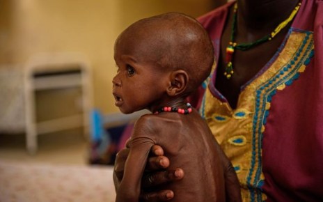 African countries have made progress toward eradicating malnutrition and stunting but need to do more to hit United Nations malnutrition targets by 2025. This was the main message of a meeting that took place during the 33rd African Union Summit.