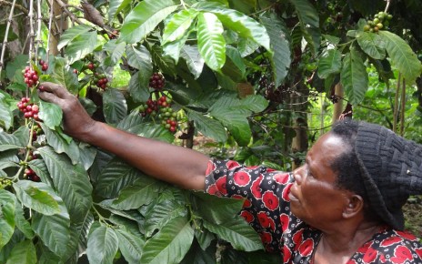 Despite the Integration of 6 economies in the East African Community (EAC), many Small -scale farmers especially women have for so long not felt the impact of the Integration on their Livelihood.
