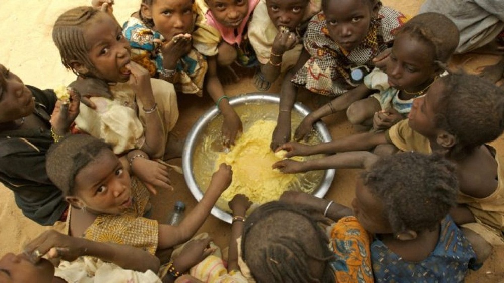 The United Nations World Food Programme (WFP) has warned that the COVID-19 pandemic could almost double the number of people suffering acute hunger, pushing it to more than a quarter of a billion by the end of 2020.