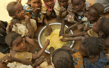 The United Nations World Food Programme (WFP) has warned that the COVID-19 pandemic could almost double the number of people suffering acute hunger, pushing it to more than a quarter of a billion by the end of 2020.