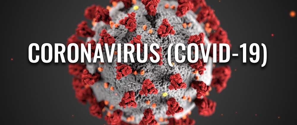 The onset of a coronavirus-induced global recession has affected both labour markets and financial flows across the world.