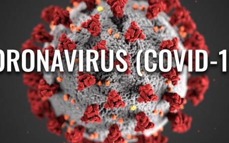 The onset of a coronavirus-induced global recession has affected both labour markets and financial flows across the world.
