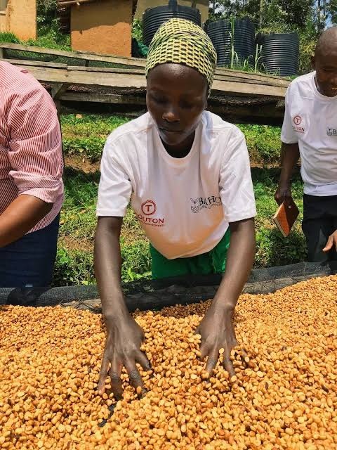 Rwanda has not witnessed any disruptions in the supply of seeds to its farmers despite the lockdown to control the spread of COVID-19, according to the Ministry of Agriculture and Animal Resources.