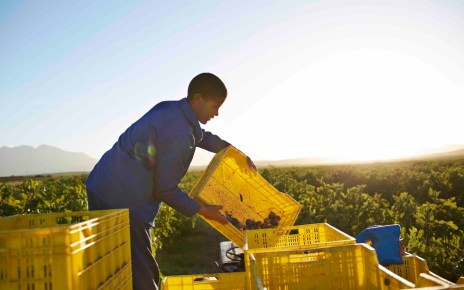 The African Export-Import Bank (Afreximbank), Africa’s foremost multilateral trade finance institution, has approved a $400-million revolving global credit facility agreement for the Export Trading Group (ETG), one of the largest and fastest-growing integrated agricultural conglomerates in Africa.