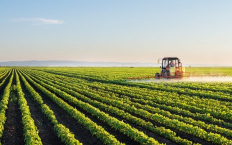 The 2020 Africa Agriculture Status Report (AASR) has been launched at the African Green Revolution Forum (AGRF) virtual summit in Kigali, Rwanda.