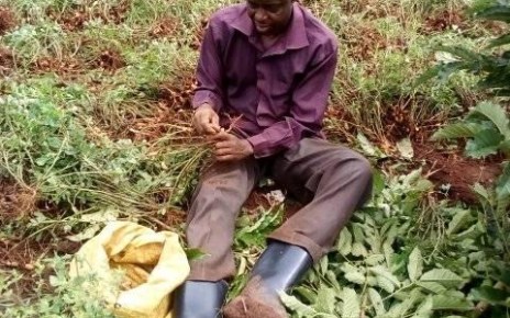 Small-scale Farmers within East Africa have called upon EAC Member states to support them to adopt Organic farming practices.
