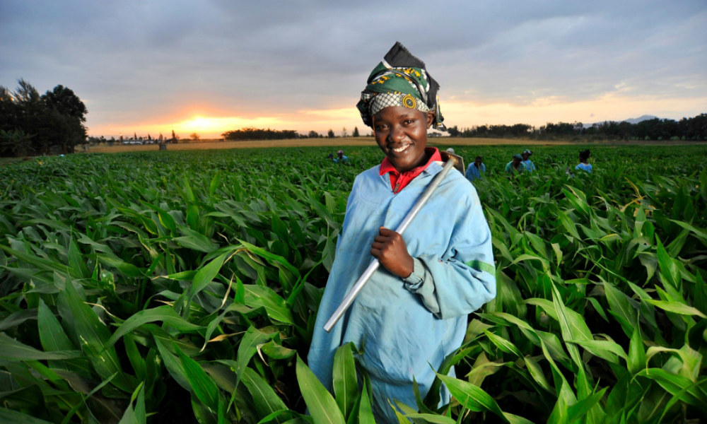 Why Agribusiness Investment is Most Exciting for Africa.