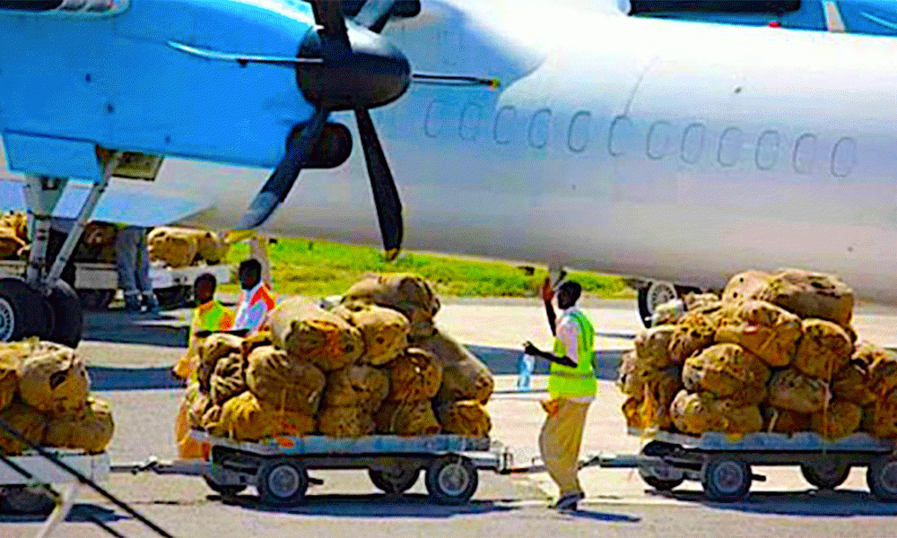 Kenya Khat Traders source Product from Ethiopia for Somalia