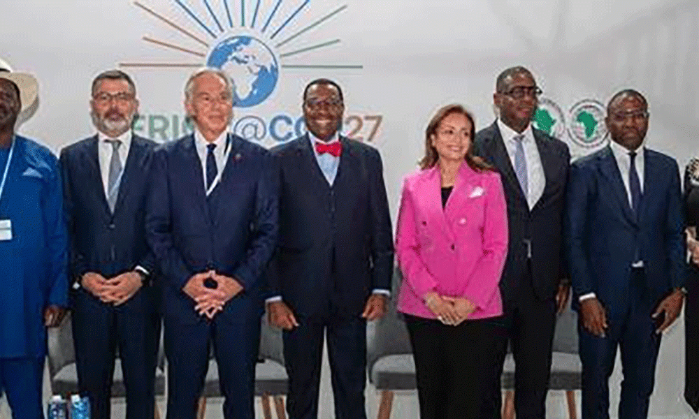 African, Global Partners Launch Alliance for Green Infrastructure