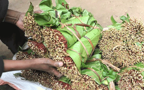 Djibouti Seeking Long-term Khat Supply from Kenya