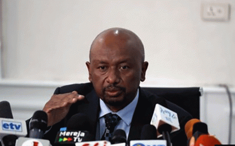 Ethiopian Envoy to US Woos Investors