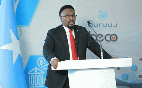 Somali Telecom Ministries End Revenue Sharing Dispute