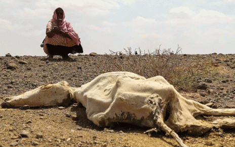 Dry Conditions Likely to Continue Over the Horn of Africa -March, May 2023