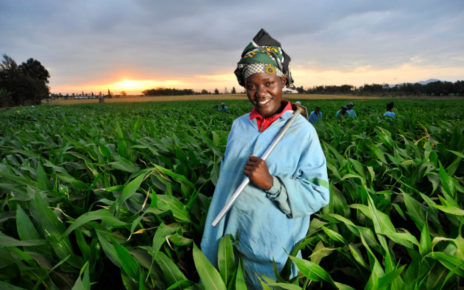 Digital Opportunities in Agriculture-AFDB, FAO and CGIAR