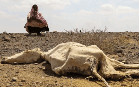 Somalia Needs $55.5 to Recover from Climatic Shocks