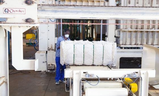 A man works in a cotton factory just outside of Johannesburg, South Africa. A man works in a cotton factory just outside of Johannesburg, South Africa.